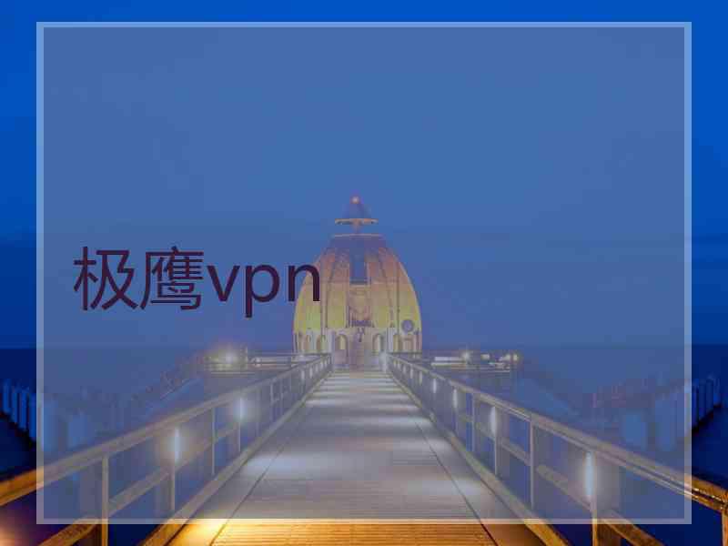 极鹰vpn