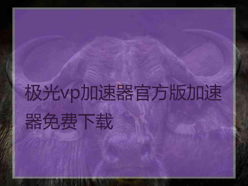 极光vp加速器官方版加速器免费下载