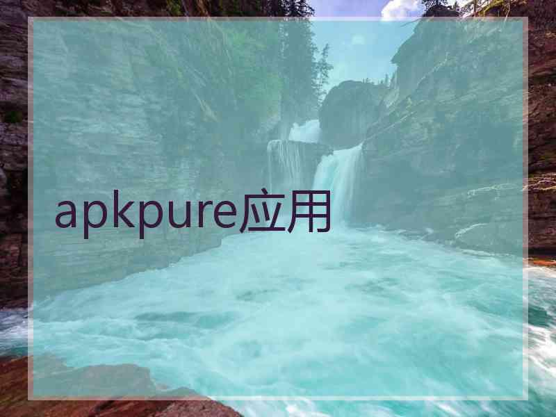 apkpure应用