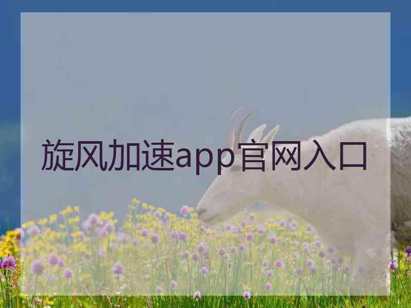 旋风加速app官网入口