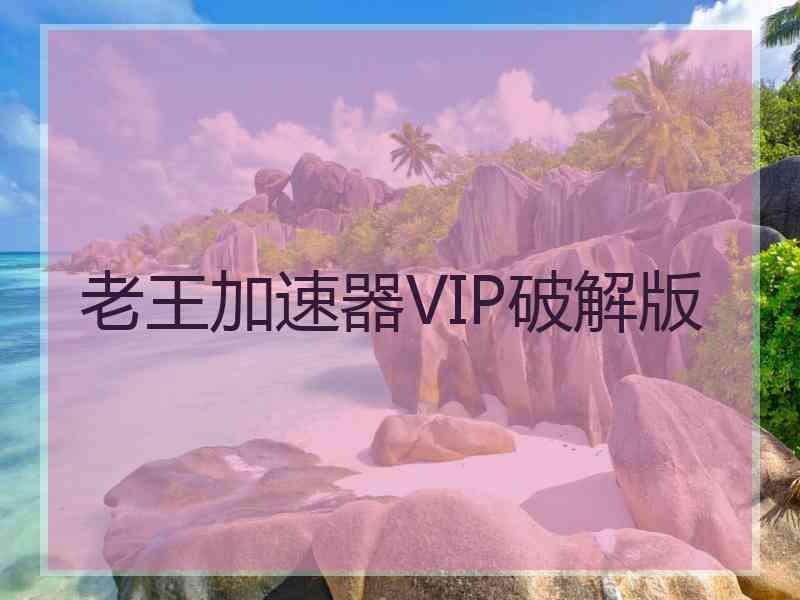 老王加速器VIP破解版