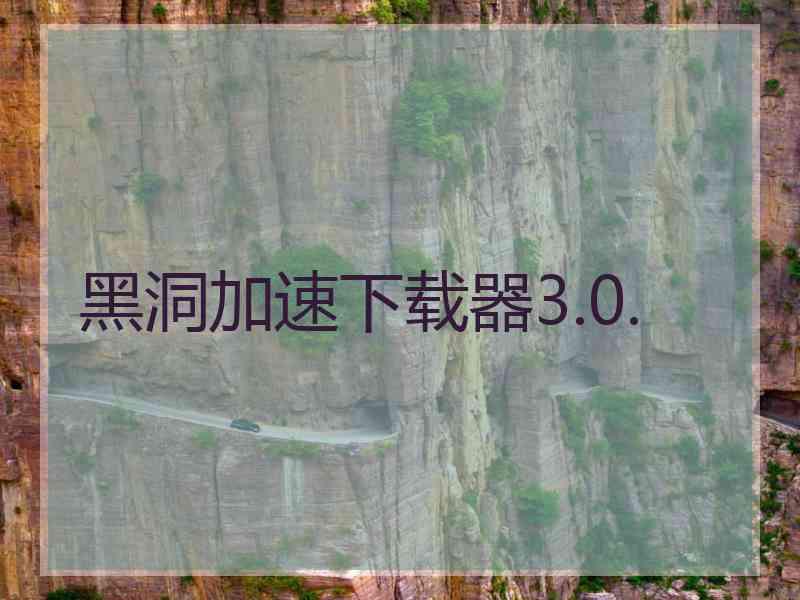 黑洞加速下载器3.0.