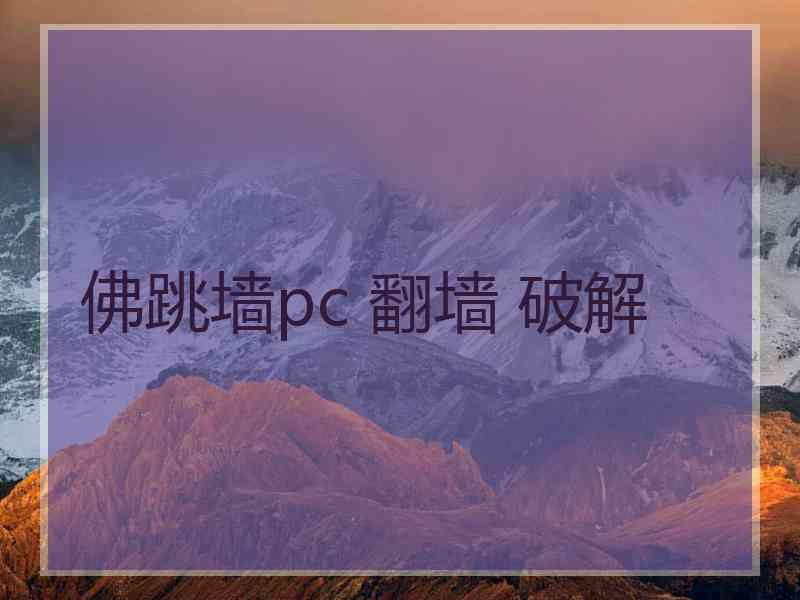 佛跳墙pc 翻墙 破解