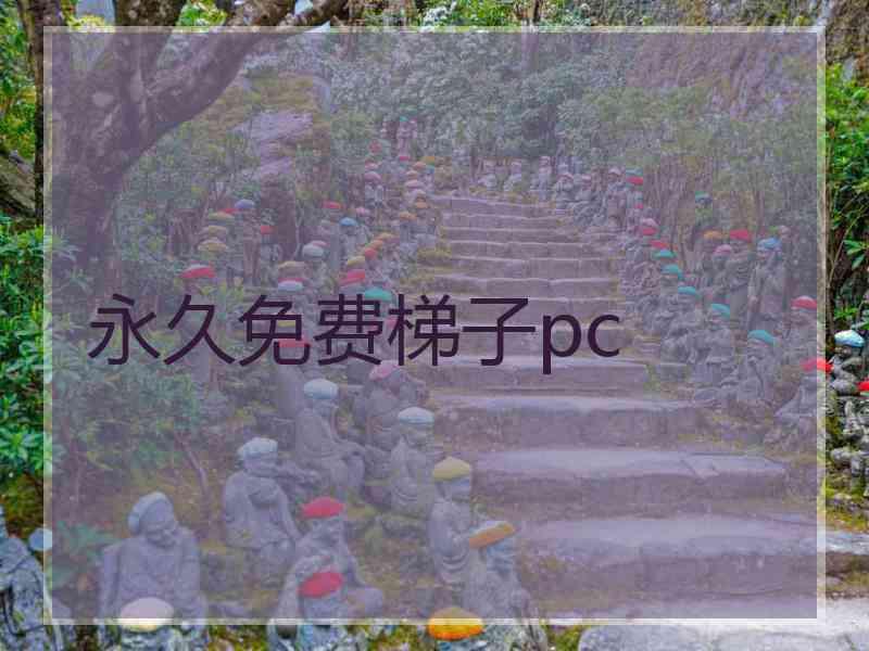 永久免费梯子pc