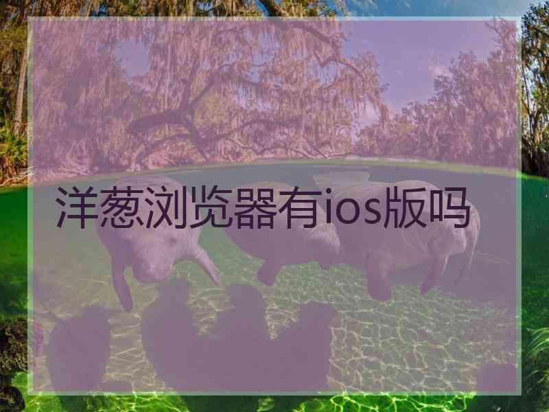 洋葱浏览器有ios版吗