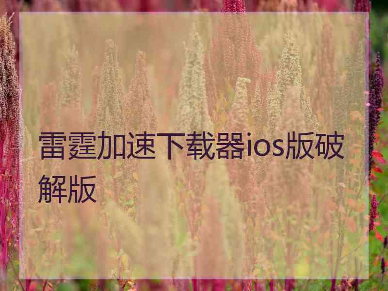 雷霆加速下载器ios版破解版