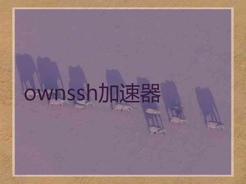 ownssh加速器