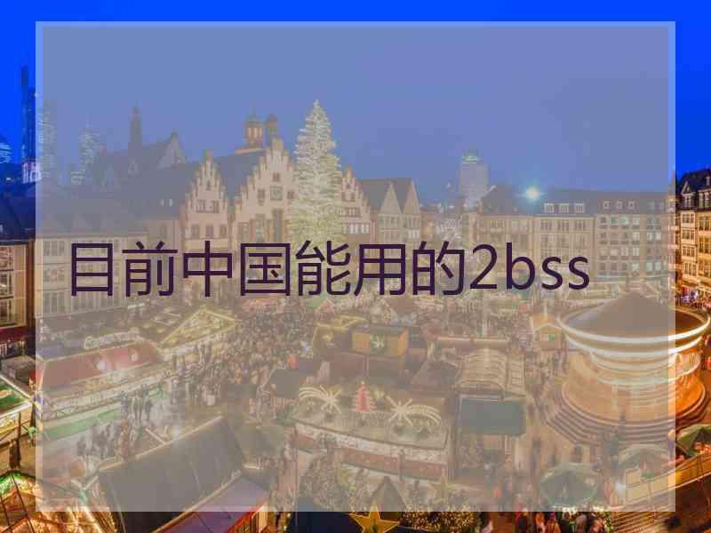 目前中国能用的2bss