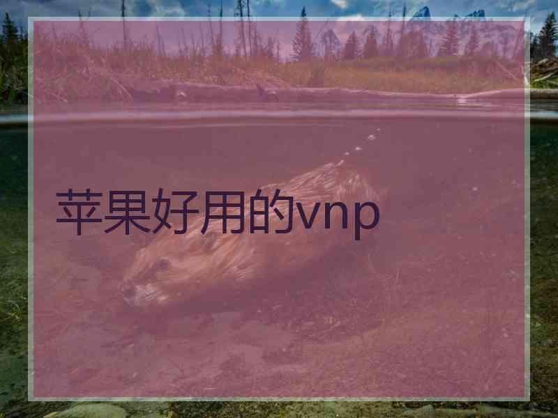 苹果好用的vnp