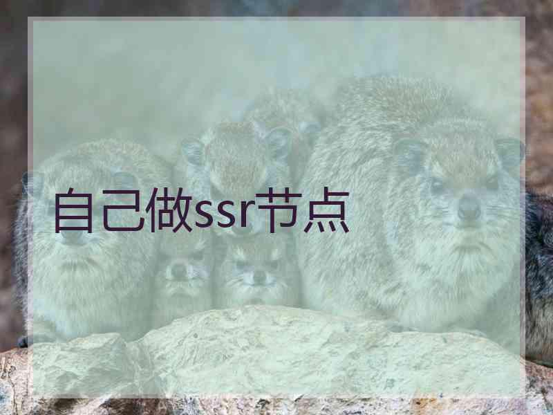 自己做ssr节点