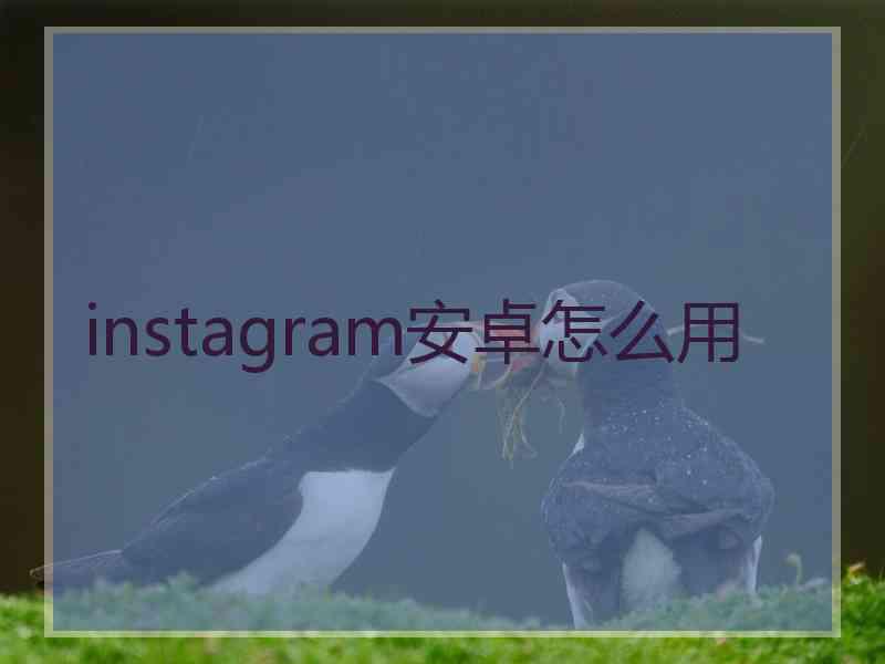 instagram安卓怎么用