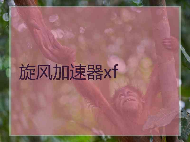 旋风加速器xf