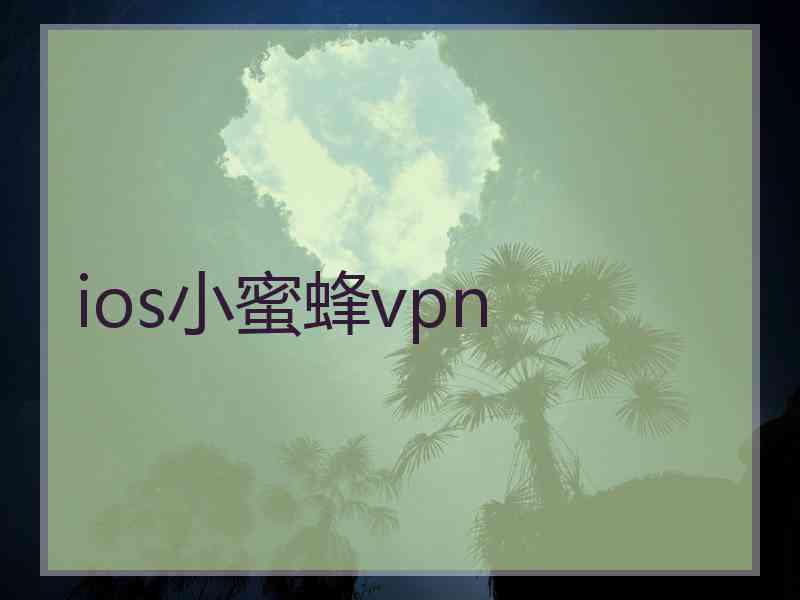 ios小蜜蜂vpn