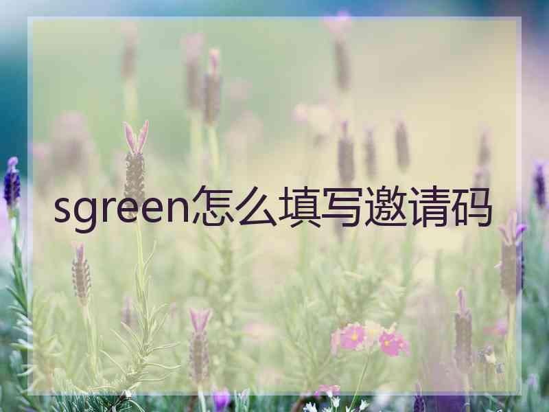 sgreen怎么填写邀请码