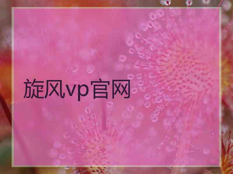 旋风vp官网