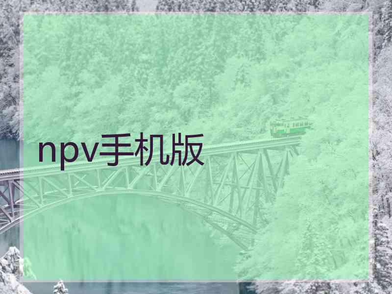 npv手机版