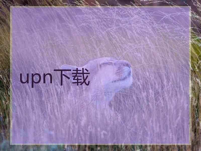 upn下载