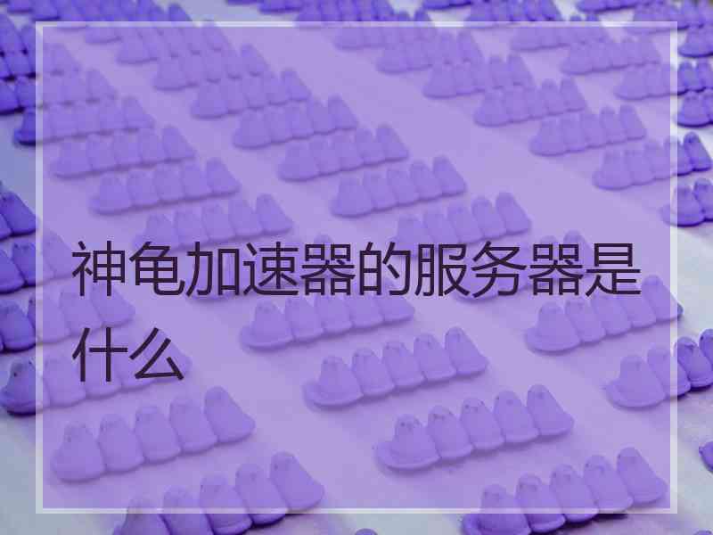 神龟加速器的服务器是什么