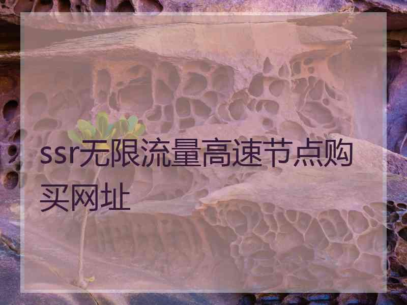 ssr无限流量高速节点购买网址