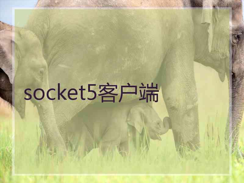 socket5客户端