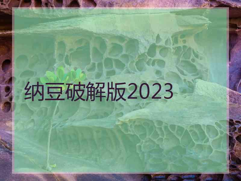 纳豆破解版2023