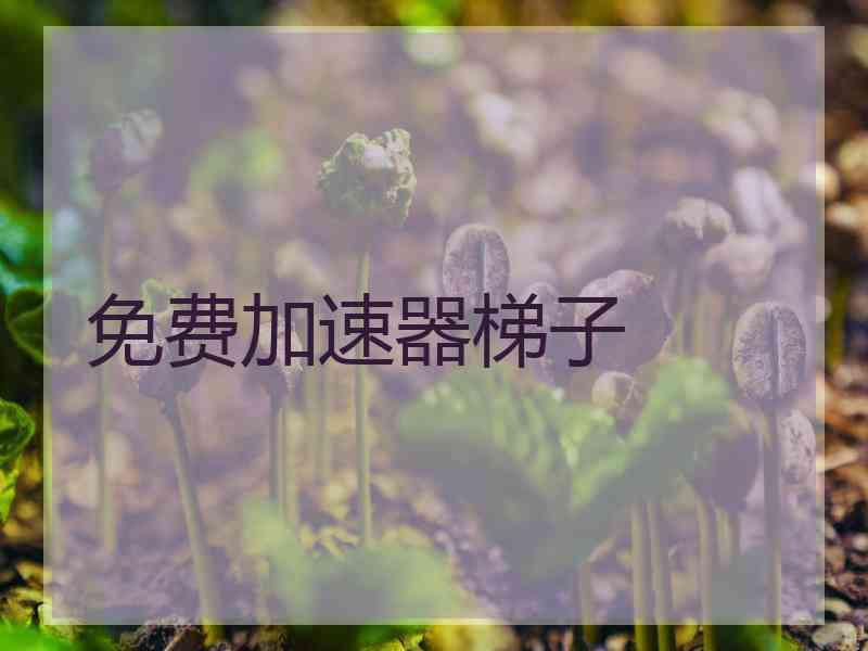 免费加速器梯子