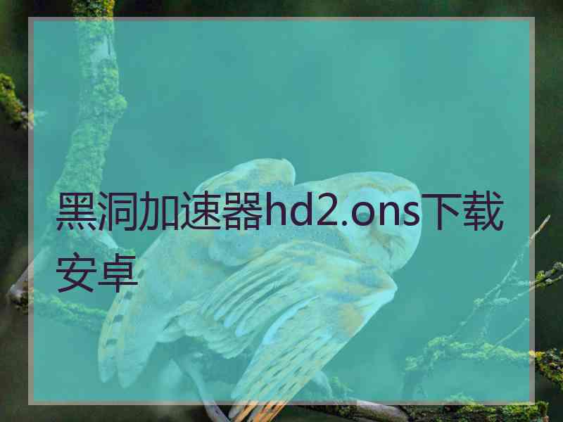 黑洞加速器hd2.ons下载安卓