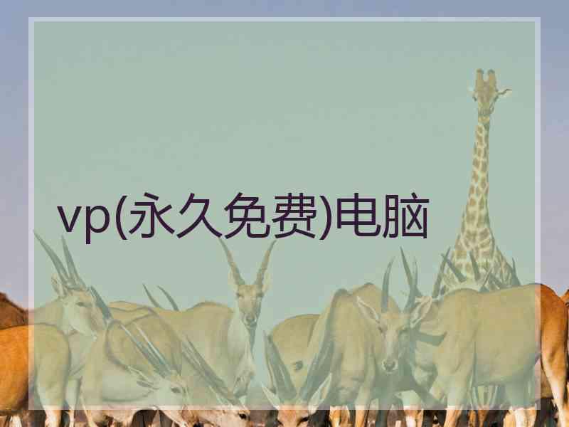 vp(永久免费)电脑