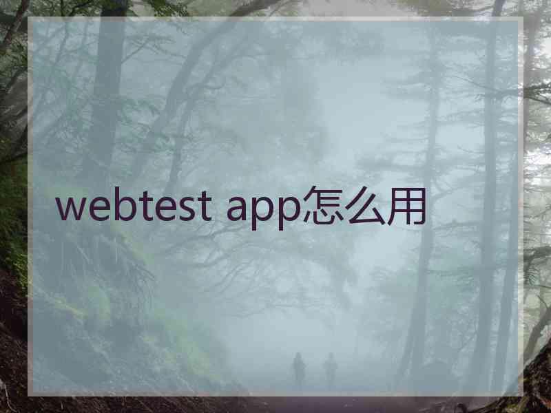 webtest app怎么用