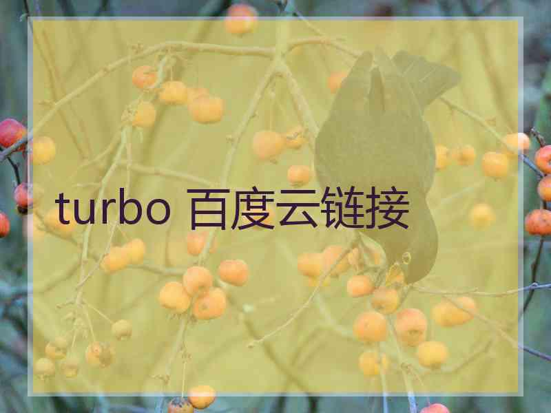 turbo 百度云链接