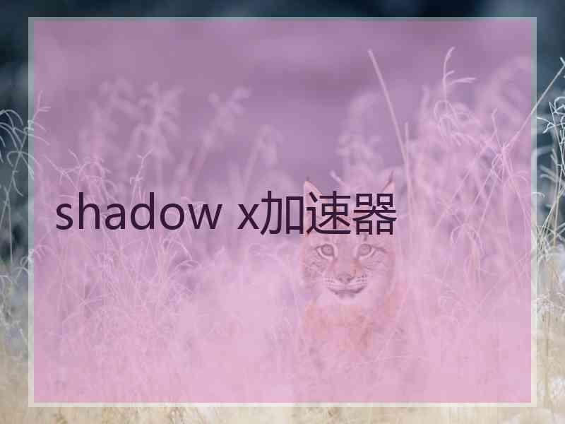 shadow x加速器