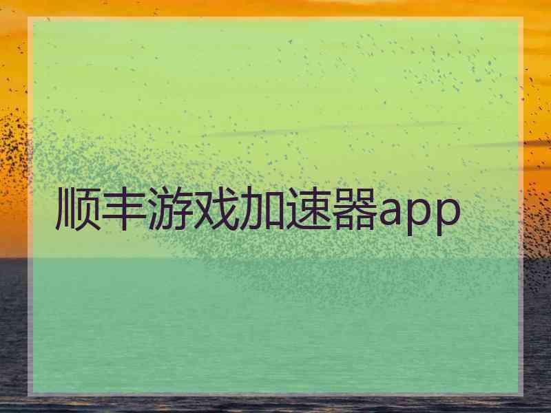 顺丰游戏加速器app