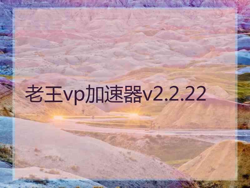 老王vp加速器v2.2.22