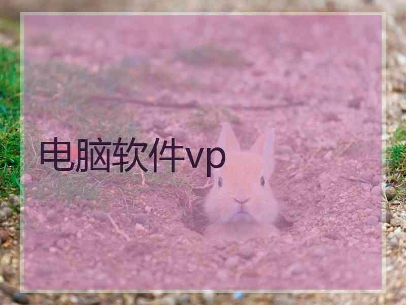 电脑软件vp