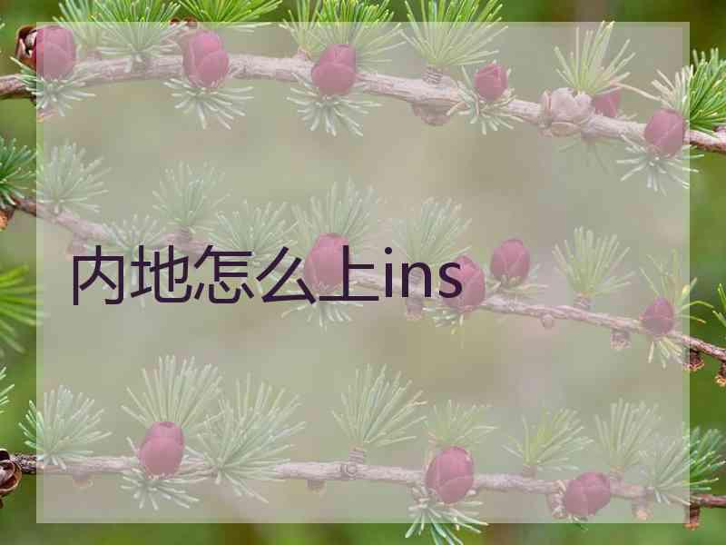 内地怎么上ins