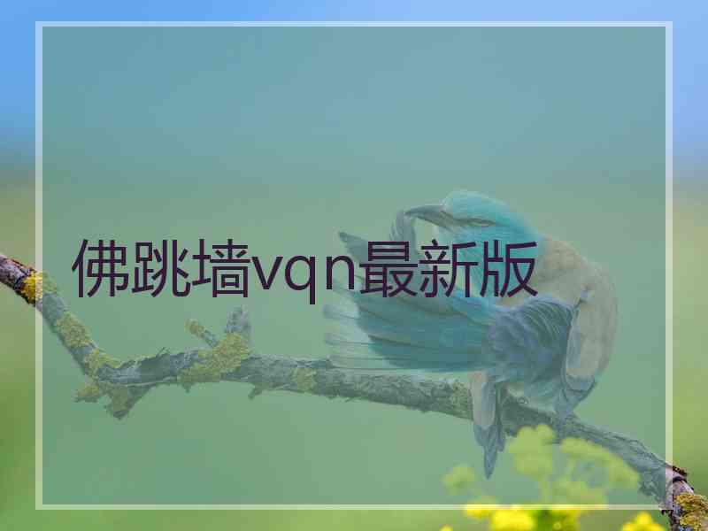 佛跳墙vqn最新版