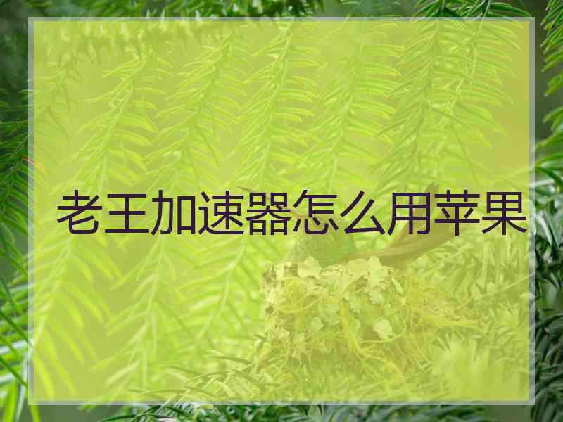 老王加速器怎么用苹果