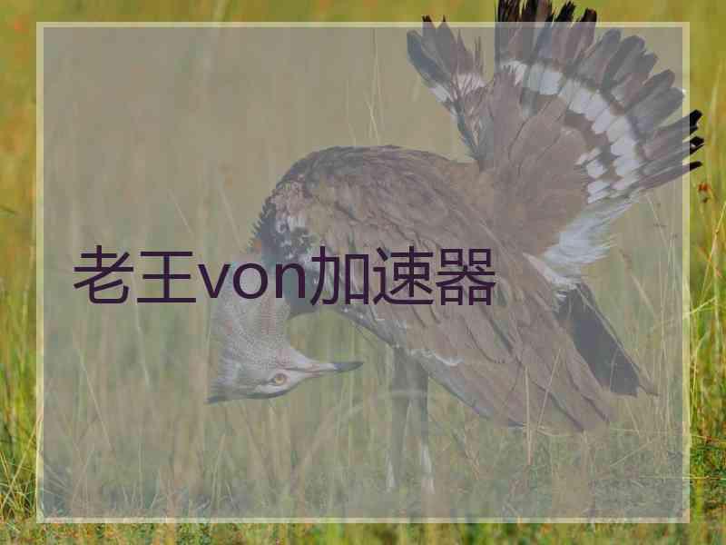 老王von加速器