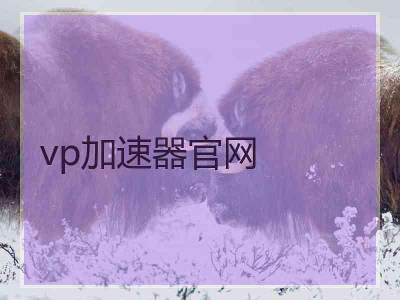 vp加速器官网