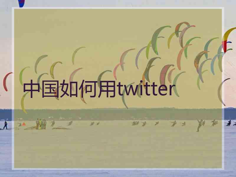 中国如何用twitter