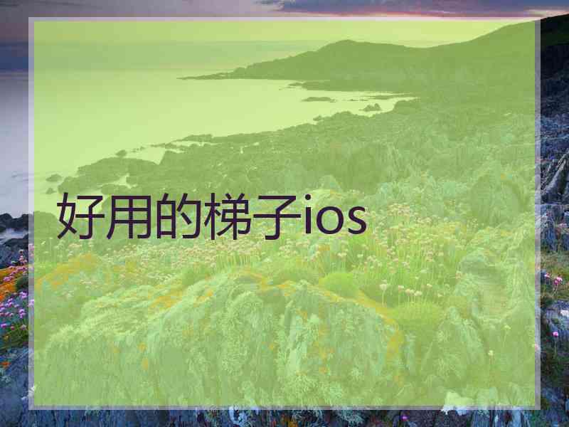 好用的梯子ios