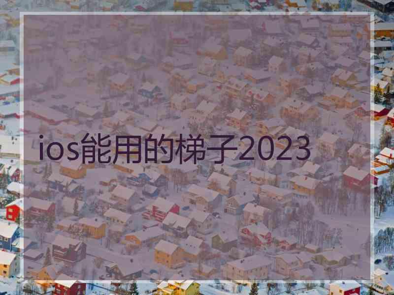 ios能用的梯子2023