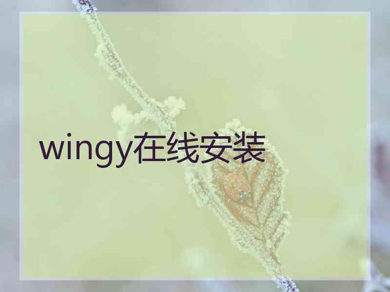 wingy在线安装