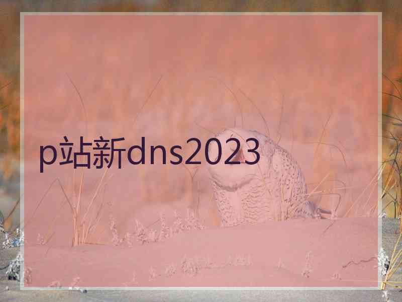 p站新dns2023