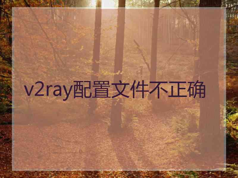 v2ray配置文件不正确