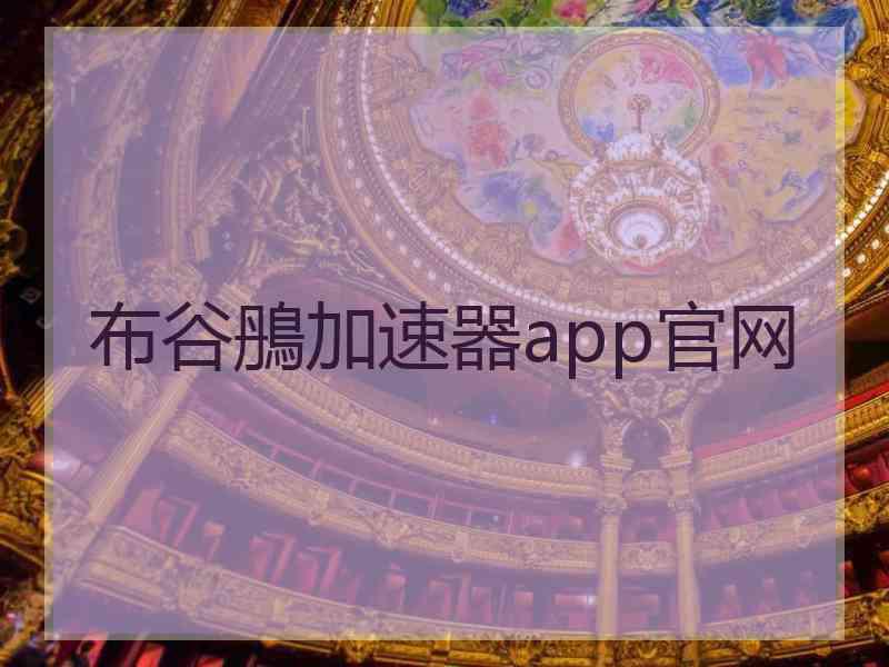 布谷鴅加速器app官网