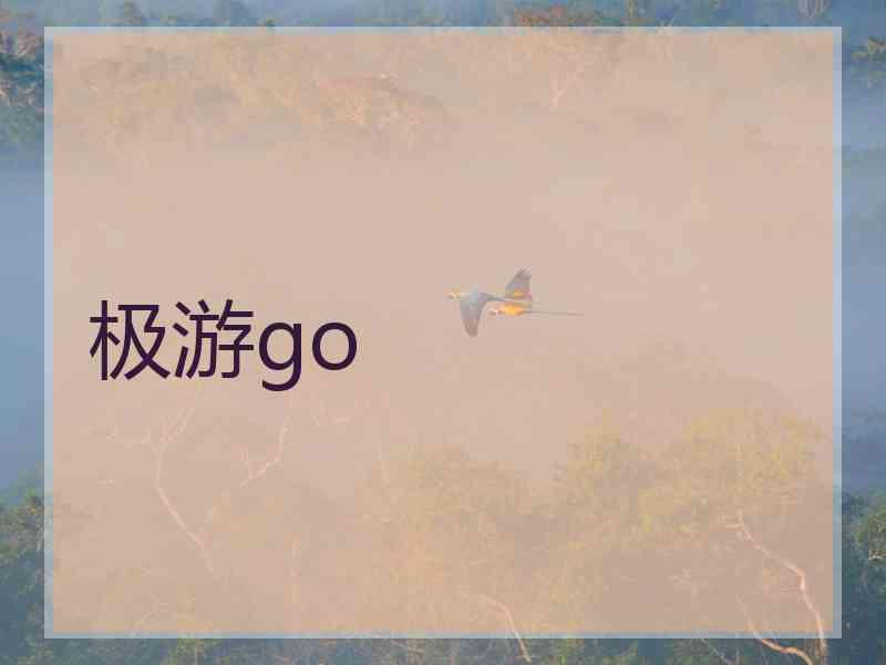 极游go