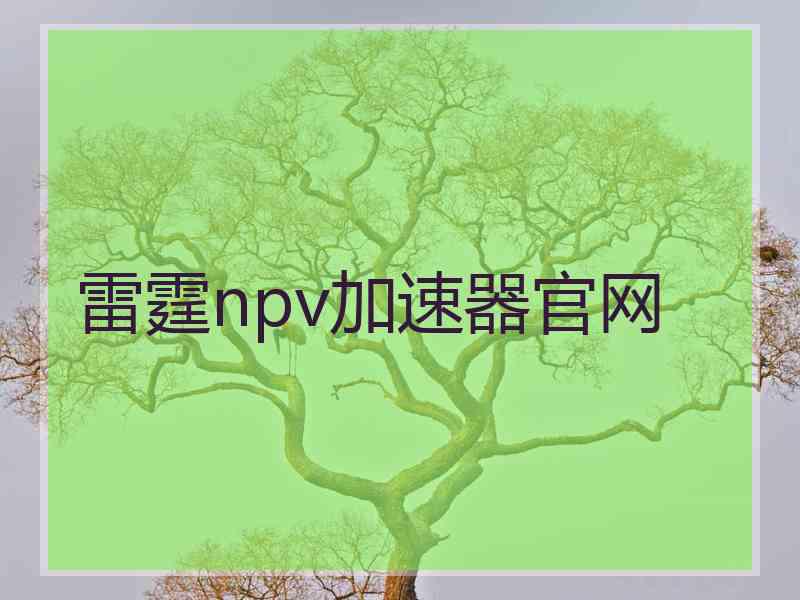 雷霆npv加速器官网