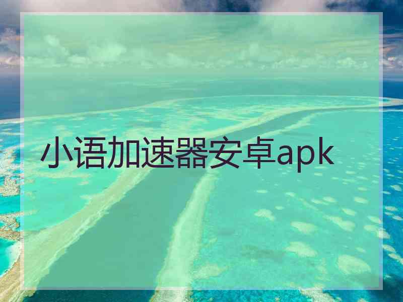 小语加速器安卓apk