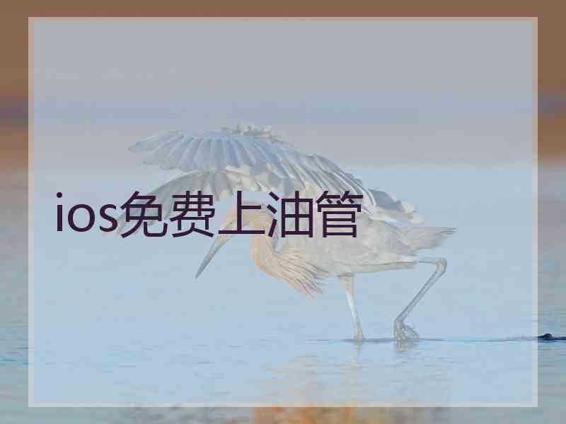 ios免费上油管